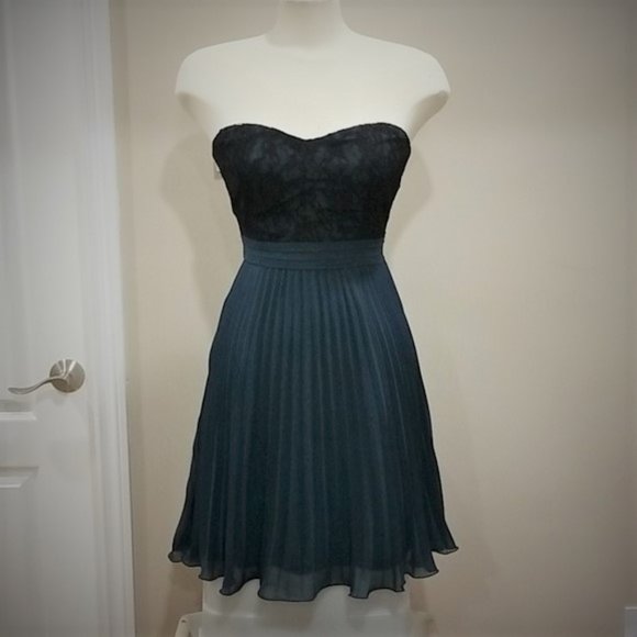 Strapless Empire Waist Plated Chiffon Dress - Picture 1 of 7